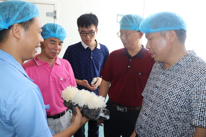 “湘軍故里，鋼鐵新城”我院助力婁底市開啟創(chuàng)新發(fā)展新篇章
