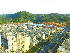中山：加快建設(shè)東升脆肉鯇、橫欄花木省級(jí)現(xiàn)代農(nóng)業(yè)產(chǎn)業(yè)園