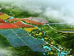 鄭州市工信局：積極構(gòu)建管城區(qū)、經(jīng)開區(qū)、中牟縣“兩區(qū)一縣”氫燃料電池汽車