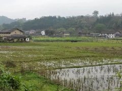 2021年國(guó)家現(xiàn)代農(nóng)業(yè)產(chǎn)業(yè)園創(chuàng)建項(xiàng)目申報(bào)即將開(kāi)始