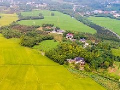 智慧園區(qū)規(guī)劃 | 產(chǎn)業(yè)園區(qū)該如何應(yīng)對(duì)突發(fā)公共事件？