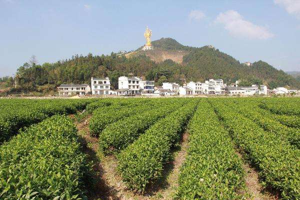 湖南寧鄉(xiāng)國家級農(nóng)業(yè)科技園區(qū)打造湘菜產(chǎn)業(yè)“技術(shù)硅谷”
