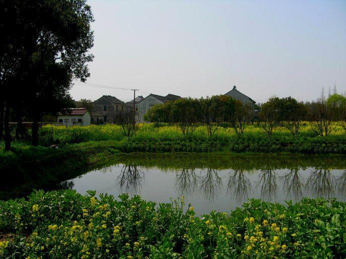 上海鄉(xiāng)村振興，建設美麗綠色幸?！叭龍@”