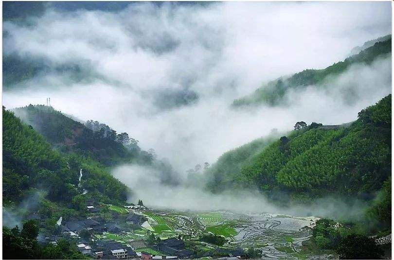 四、農(nóng)村一二三產(chǎn)業(yè)融合發(fā)展先導(dǎo)區(qū)項目