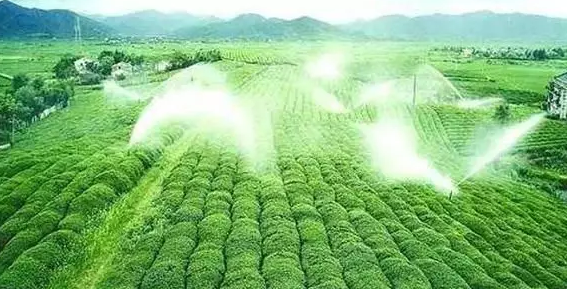 重磅！2019中央一號文件即將發(fā)布！大農(nóng)業(yè)領(lǐng)域迎來新機(jī)遇