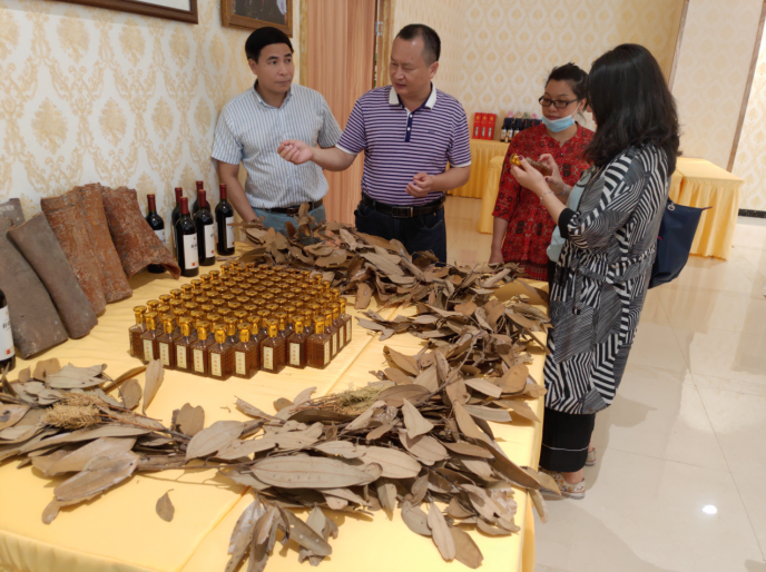 龔州大地，龍眼飄香-平南現(xiàn)代農(nóng)業(yè)正釋放科技創(chuàng)新活力