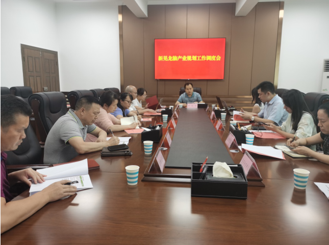 發(fā)力五型經(jīng)濟(jì)，著力打造“中國龍腦之都”