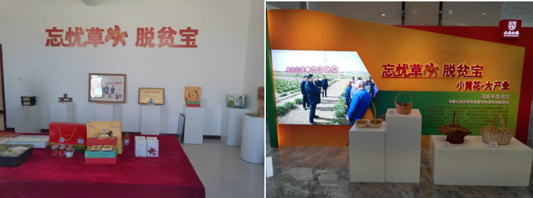打造農(nóng)業(yè)綠色發(fā)展典范，云州區(qū)創(chuàng)建國家農(nóng)業(yè)綠色發(fā)展先行區(qū)勢在必行