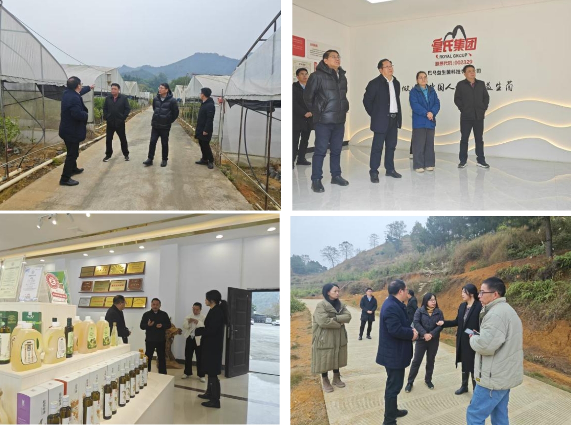 長壽之鄉(xiāng)，逐路之行——高新院專家組一行赴廣西巴馬瑤族自治縣開展河池農(nóng)高區(qū)創(chuàng)建調(diào)研
